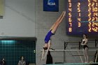 Women's Diving  Wheaton College Women’s Diving vs Mount Holyoke College. - Photo by Keith Nordstrom : Wheaton, Swimming & Diving